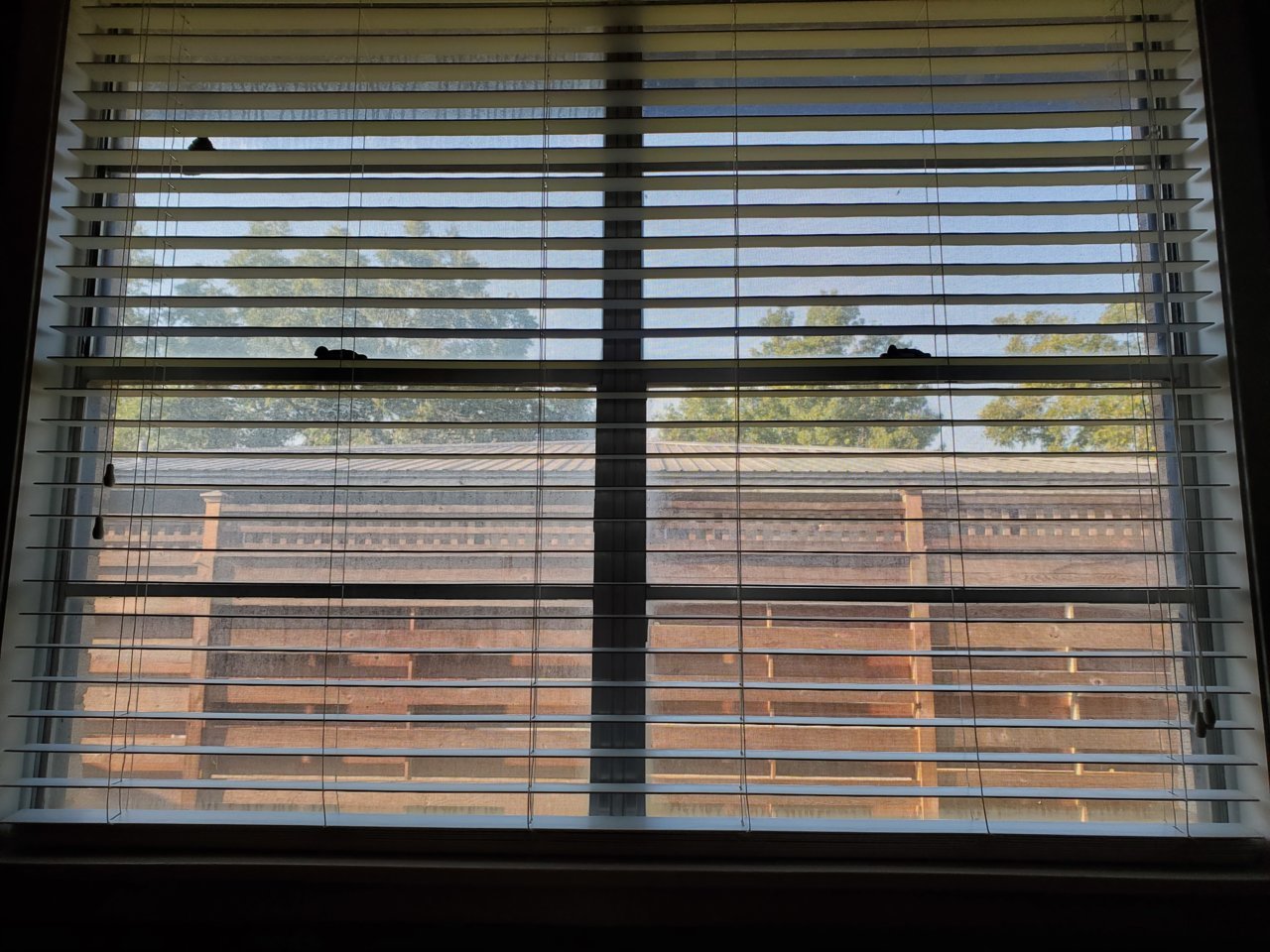 20201007_090642.jpg