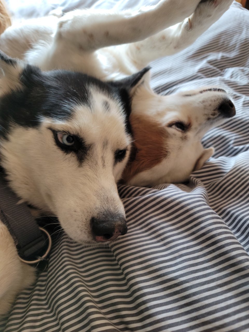 20201007_160659.jpg