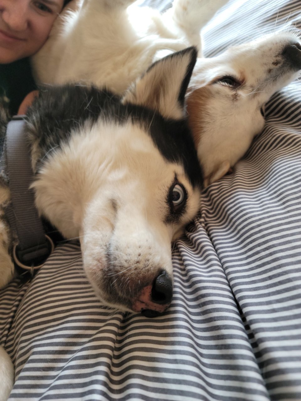 20201007_160710.jpg