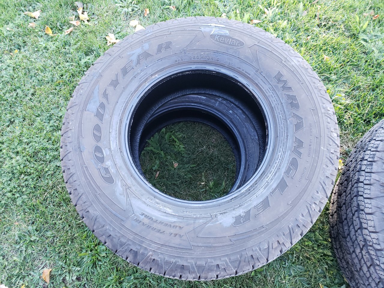 20201007_172710.jpg