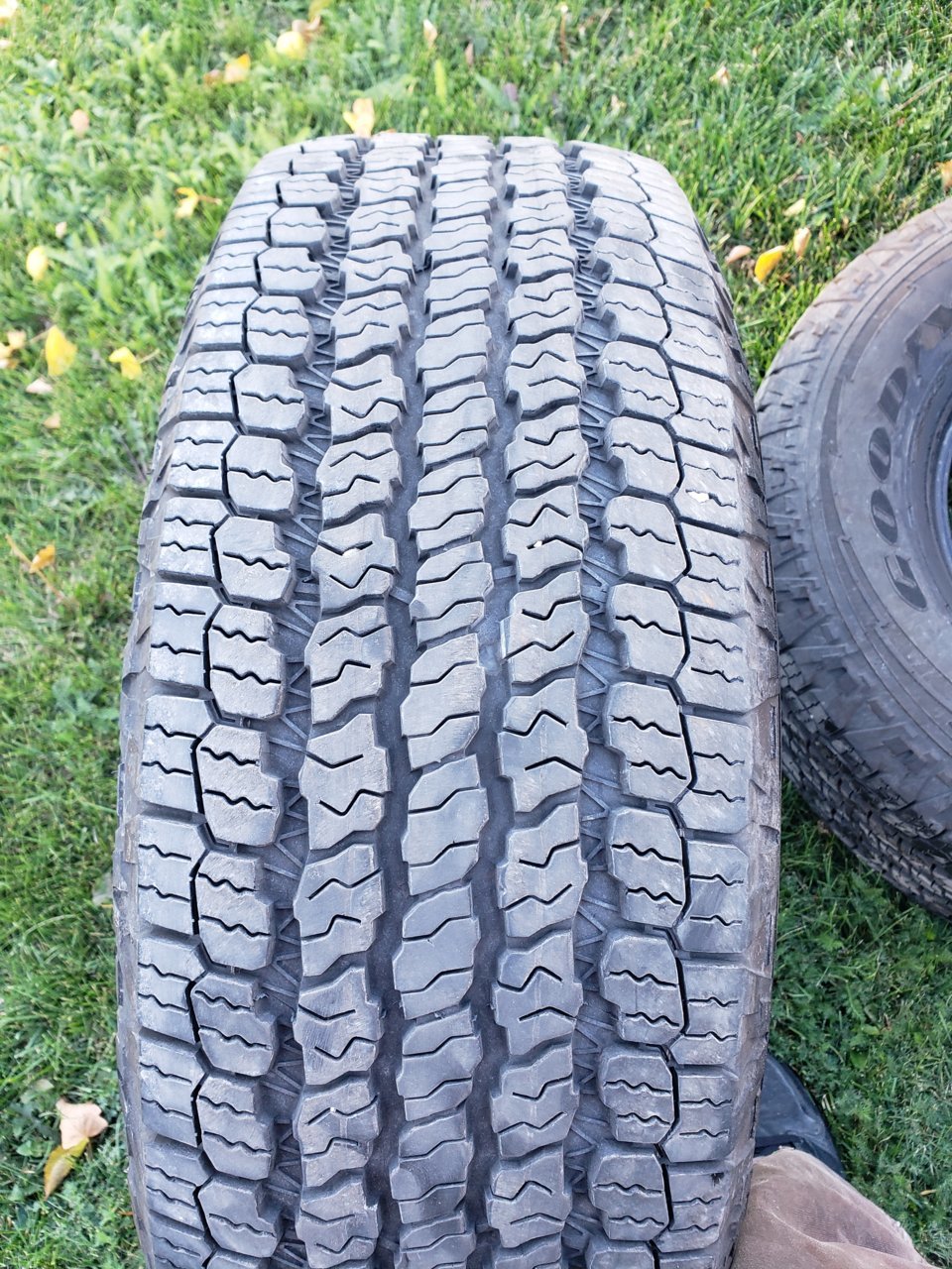 20201007_172721.jpg