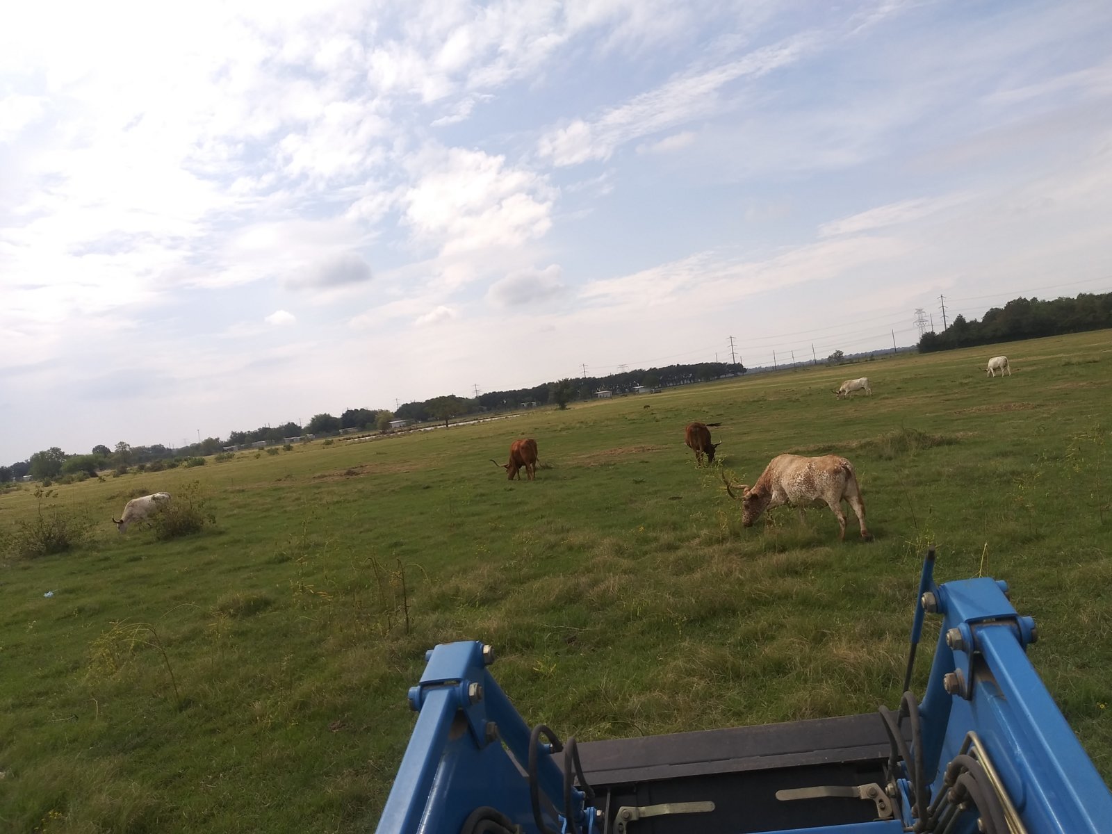 20201008_123618.jpg
