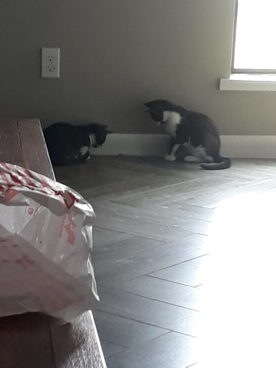20201008_125455.jpg