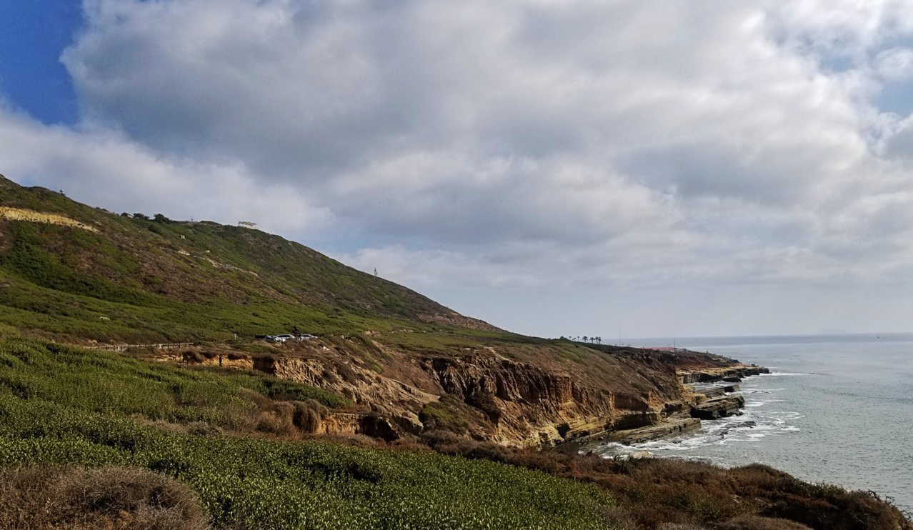 20201008_151207.jpg