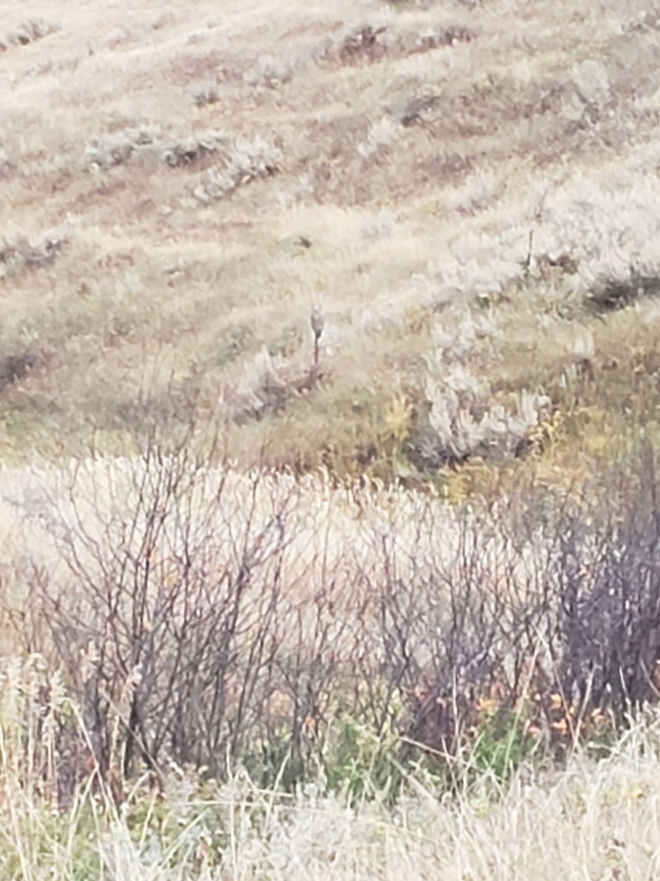 20201008_183600.jpg