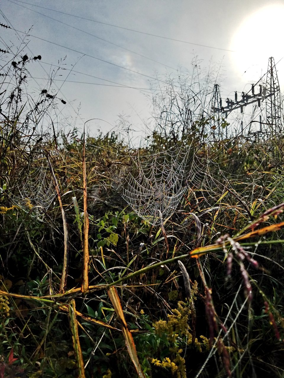 20201009_092643.jpg