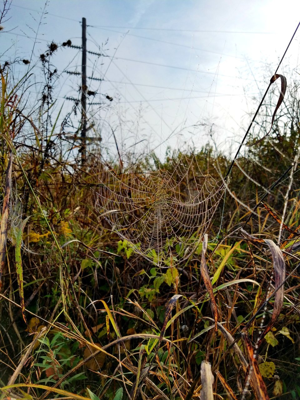 20201009_092823.jpg