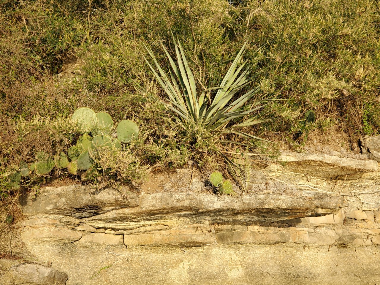 20201009_183132.jpg