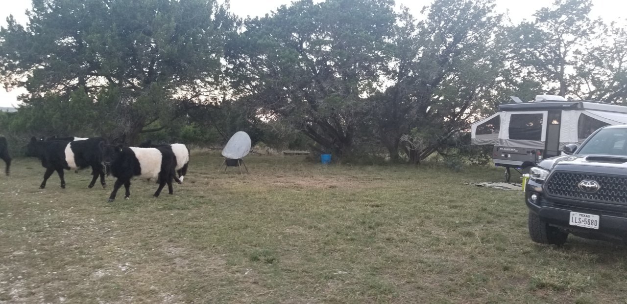 20201009_190753.jpg