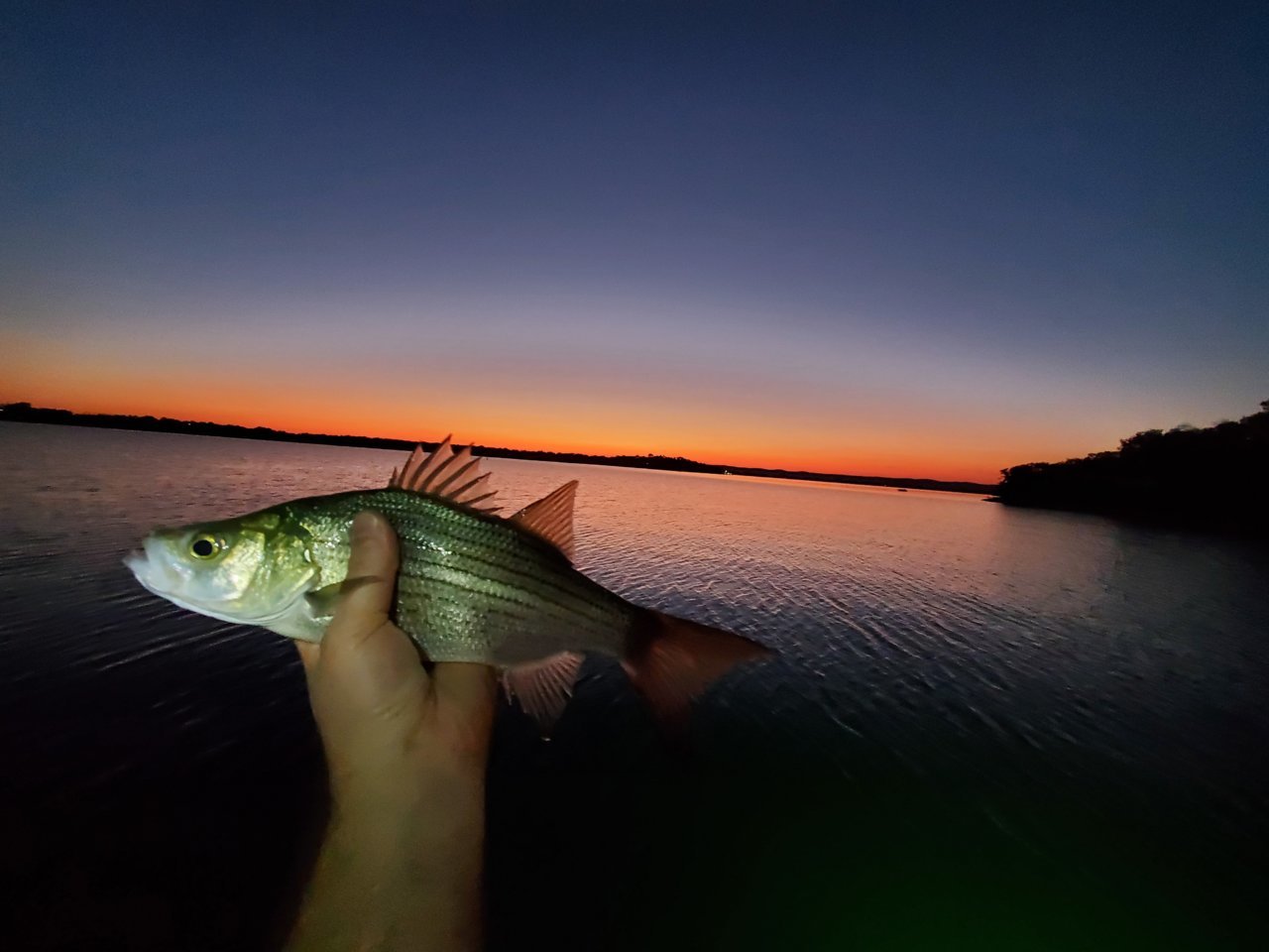20201009_193535.jpg