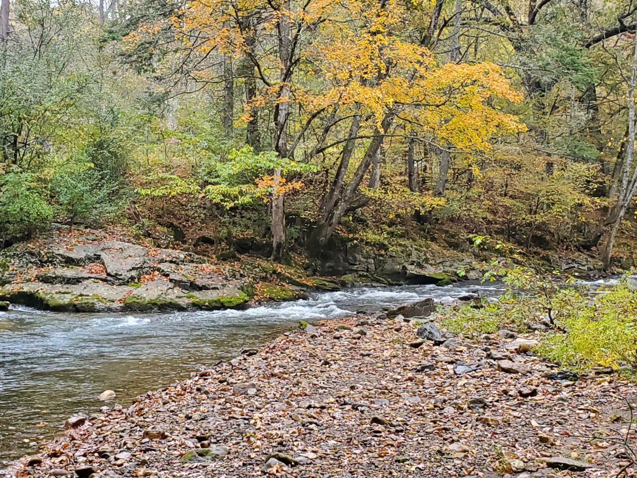 20201010_144847.jpg