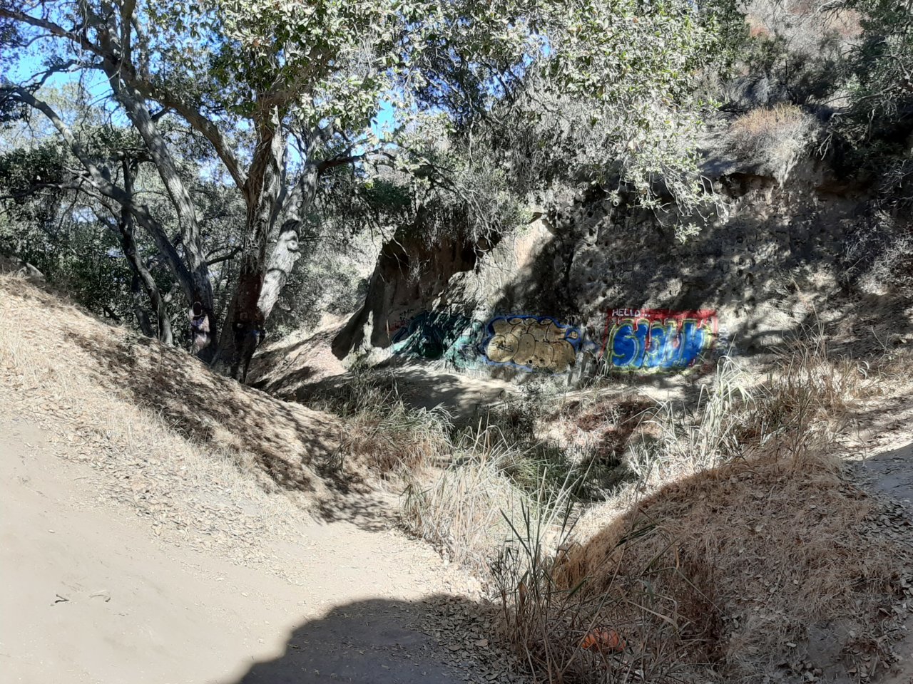 20201011_120727.jpg