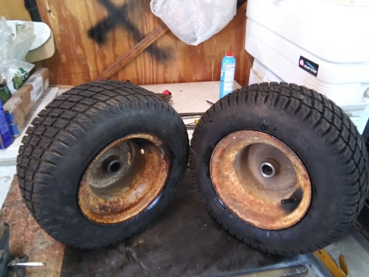 20201011_123155.jpg