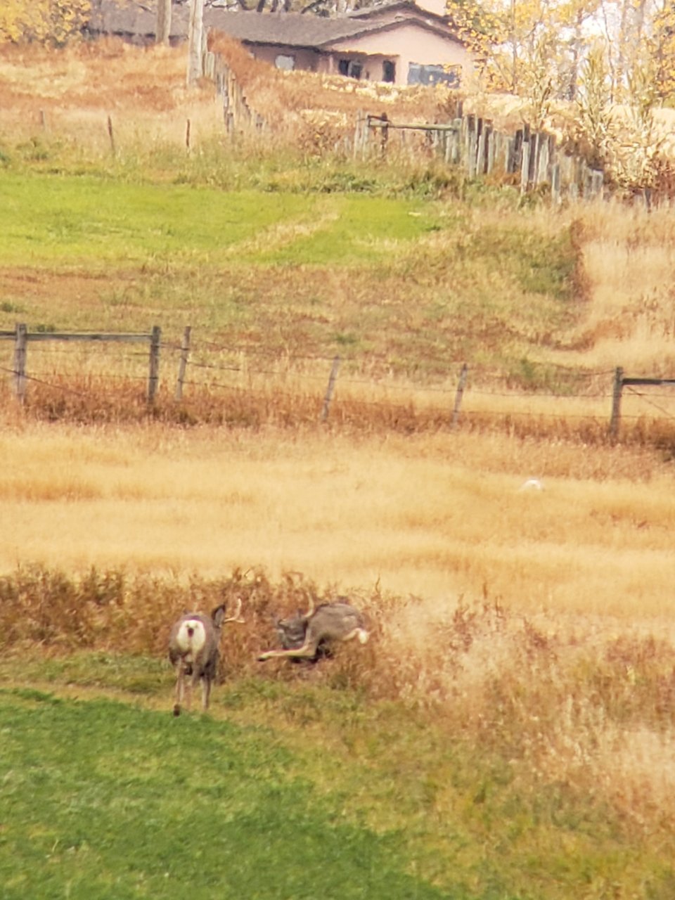 20201012_120754.jpg