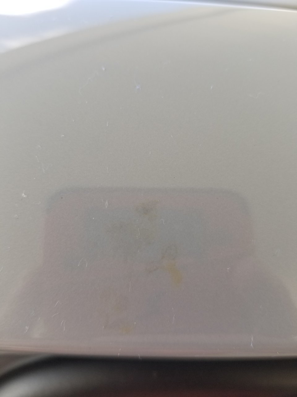 20201013_141454.jpg