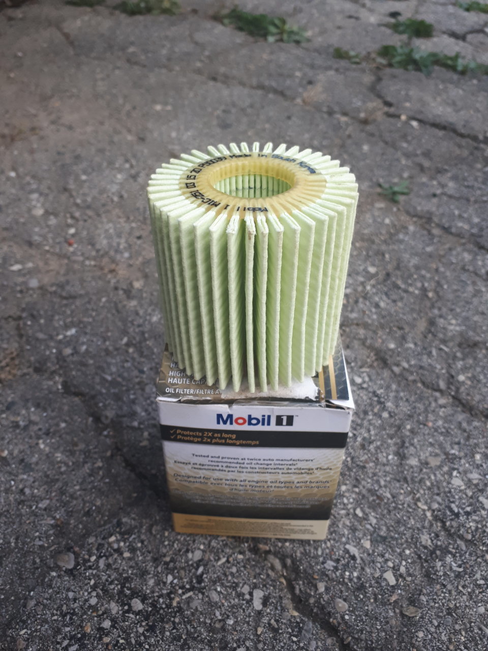 20201013_180907.jpg