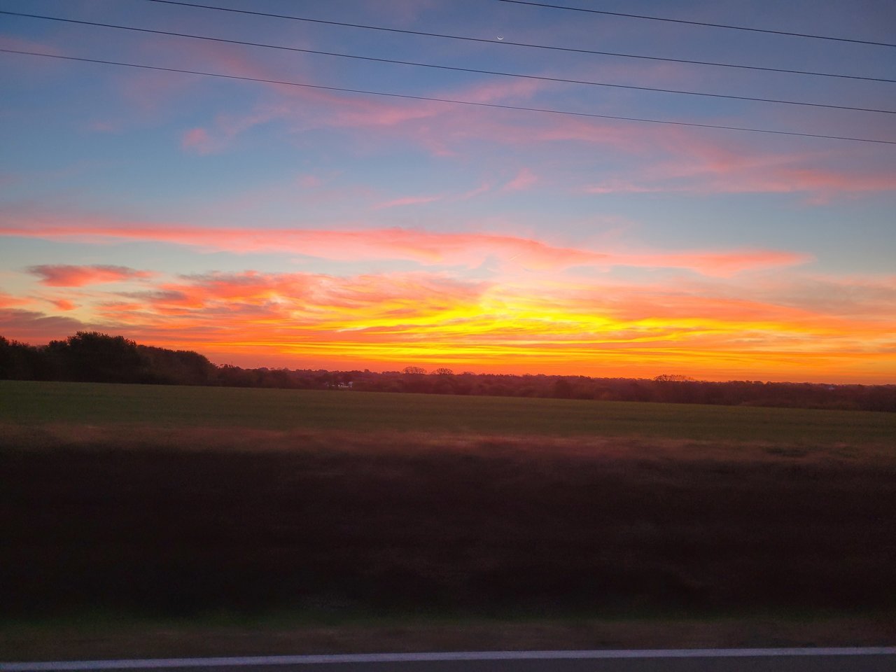 20201014_071055.jpg