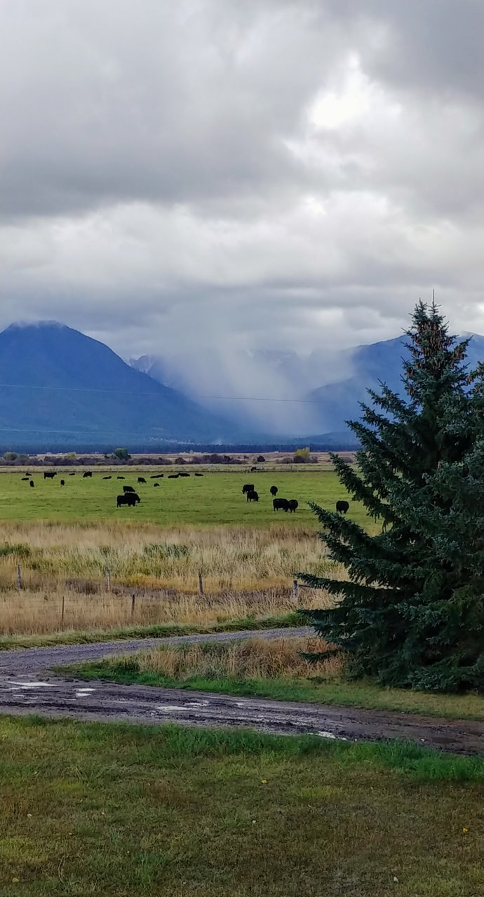 20201014_123844_HDR.jpg