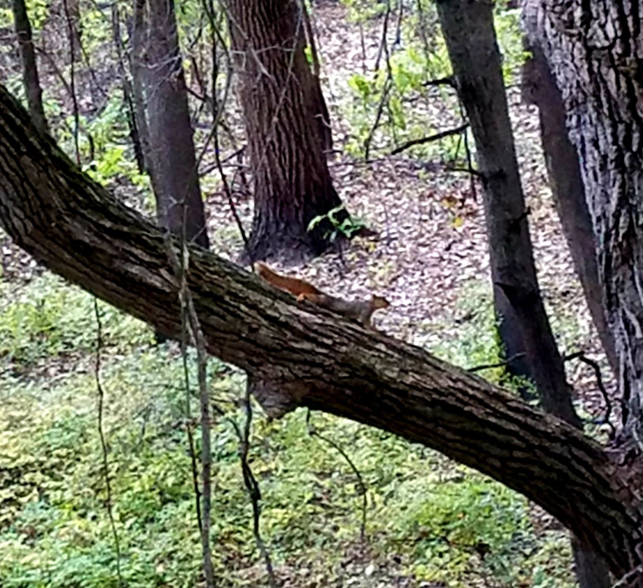20201014_202729.jpg