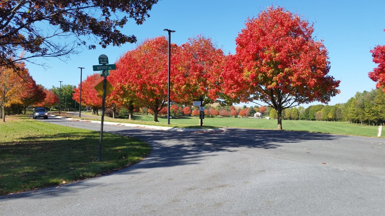 20201015_144106.jpg