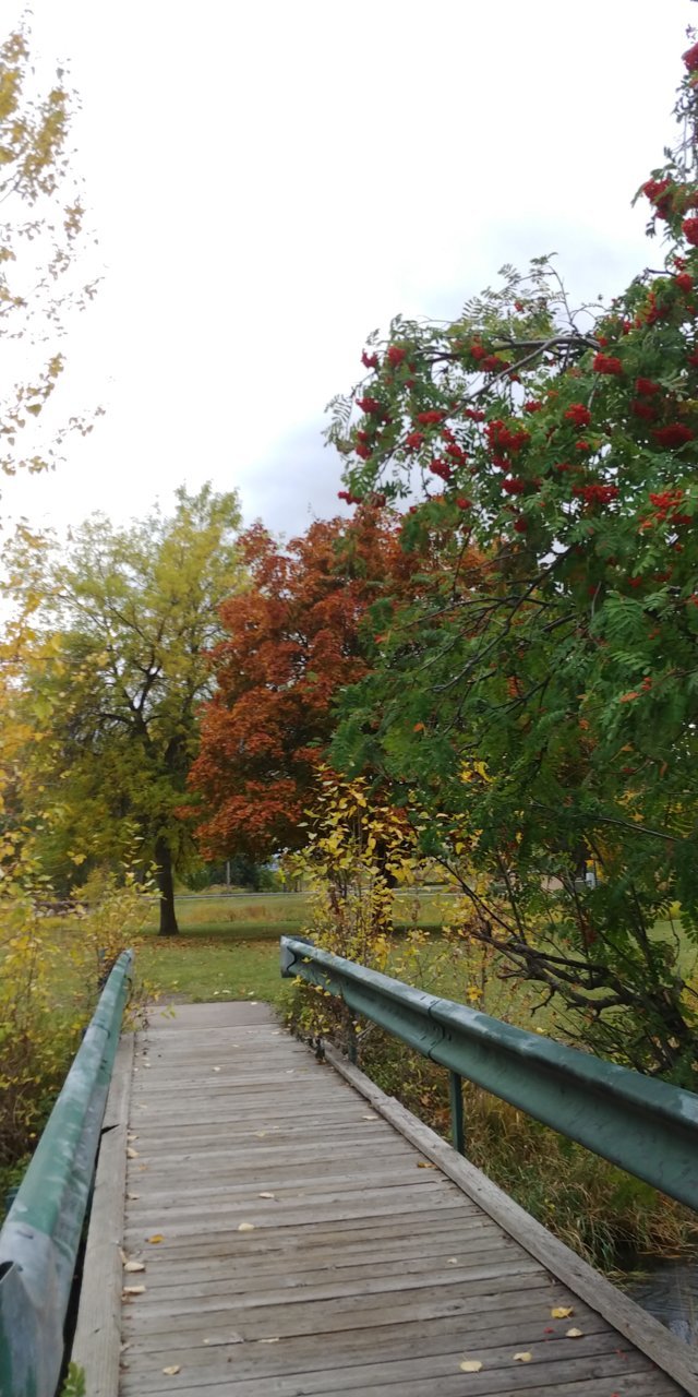 20201016_132750_HDR.jpg
