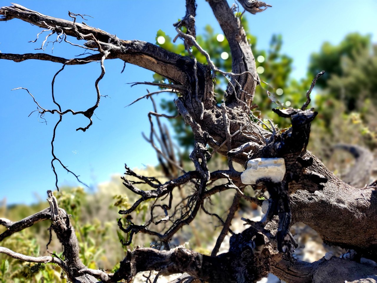 20201016_164957.jpg