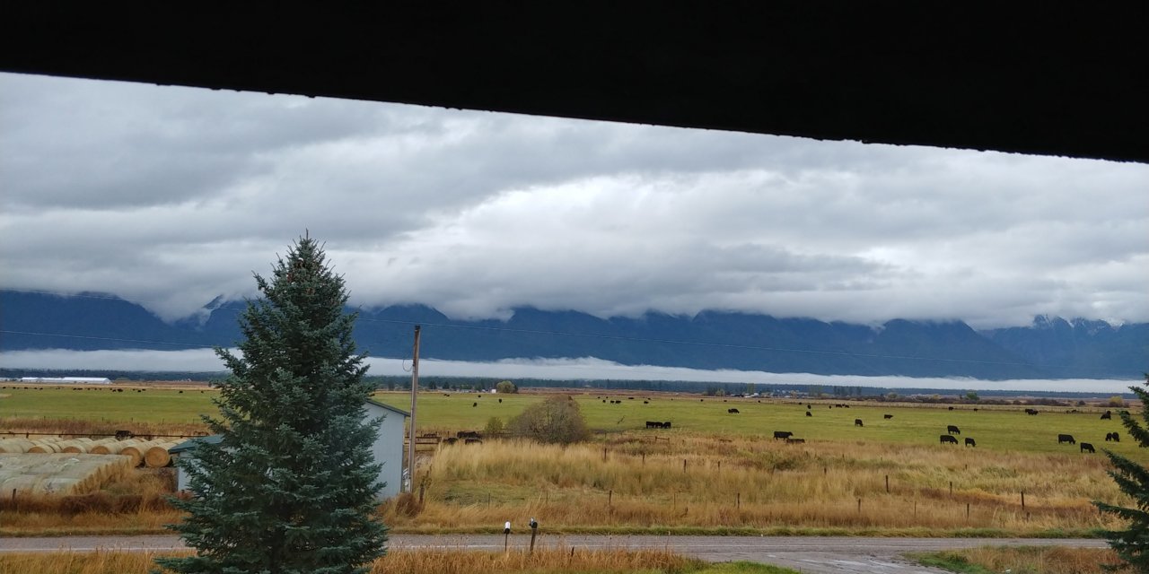 20201017_084515_HDR.jpg