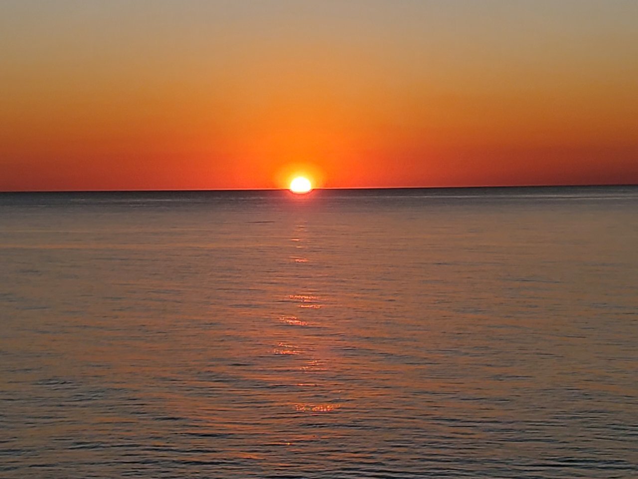 20201017_180838.jpg