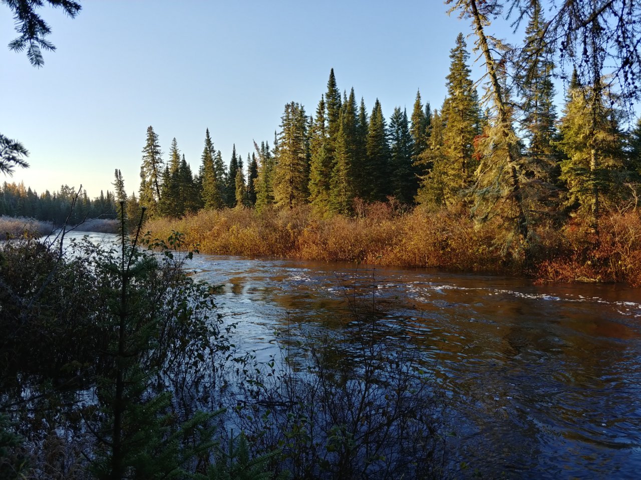 20201018_075952_HDR.jpg