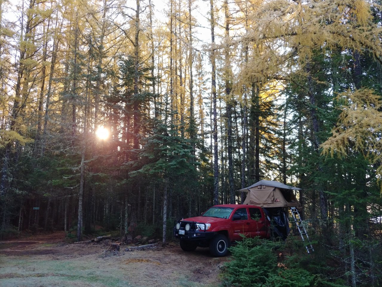 20201018_081900_HDR.jpg