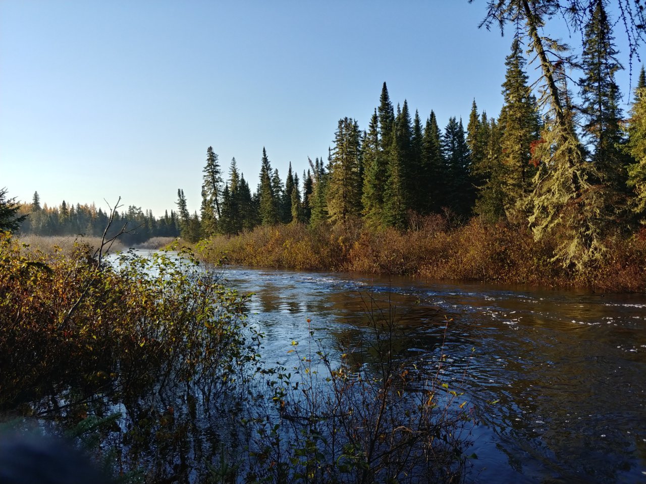 20201018_082826_HDR.jpg