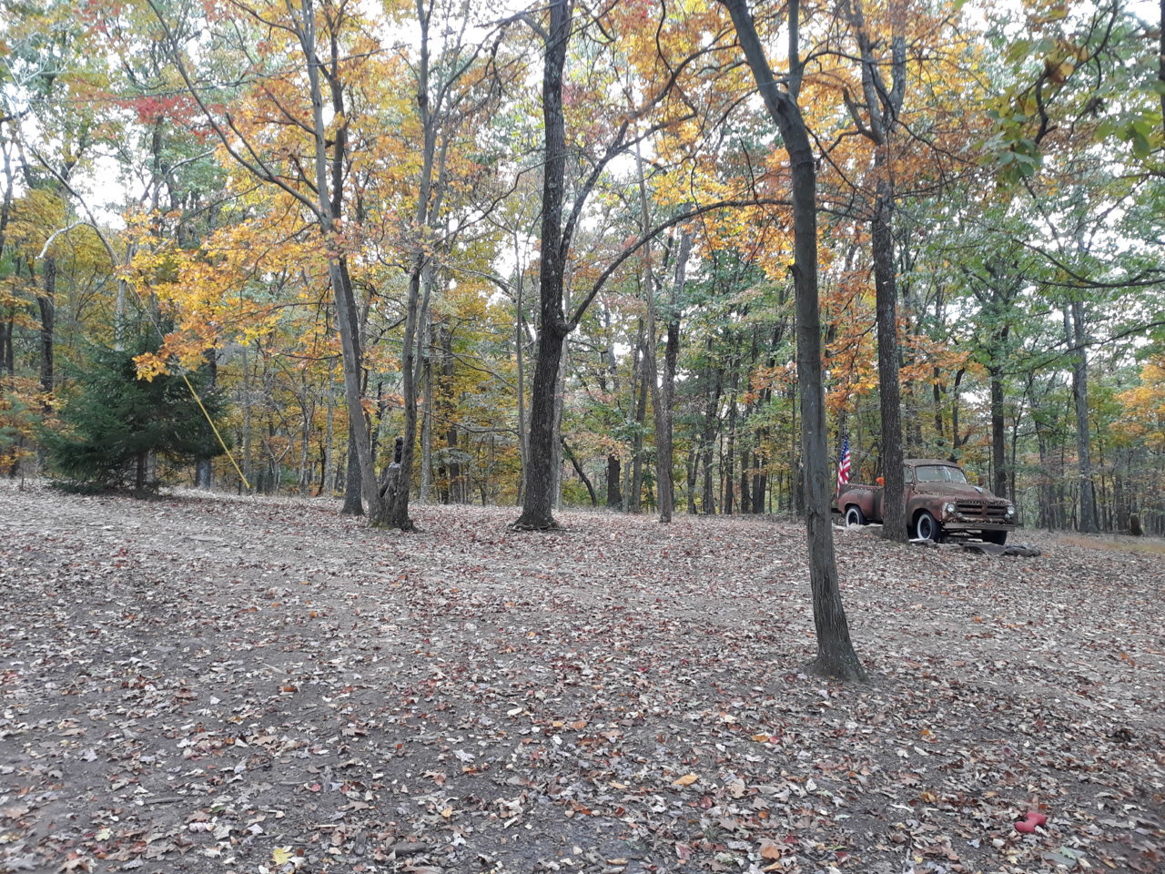 20201018_154603.jpg