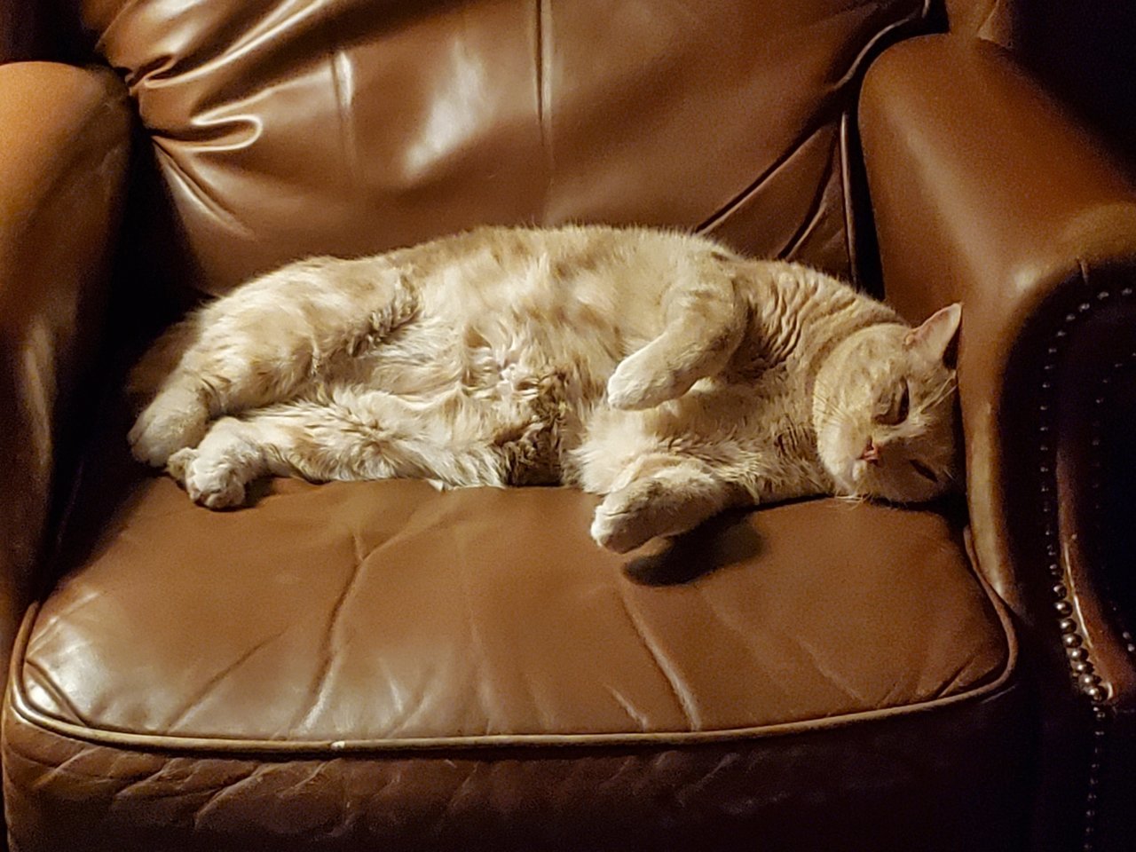 20201018_195847.jpg