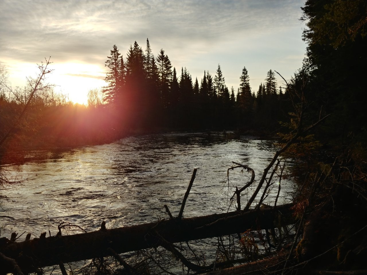 20201019_083312_HDR.jpg