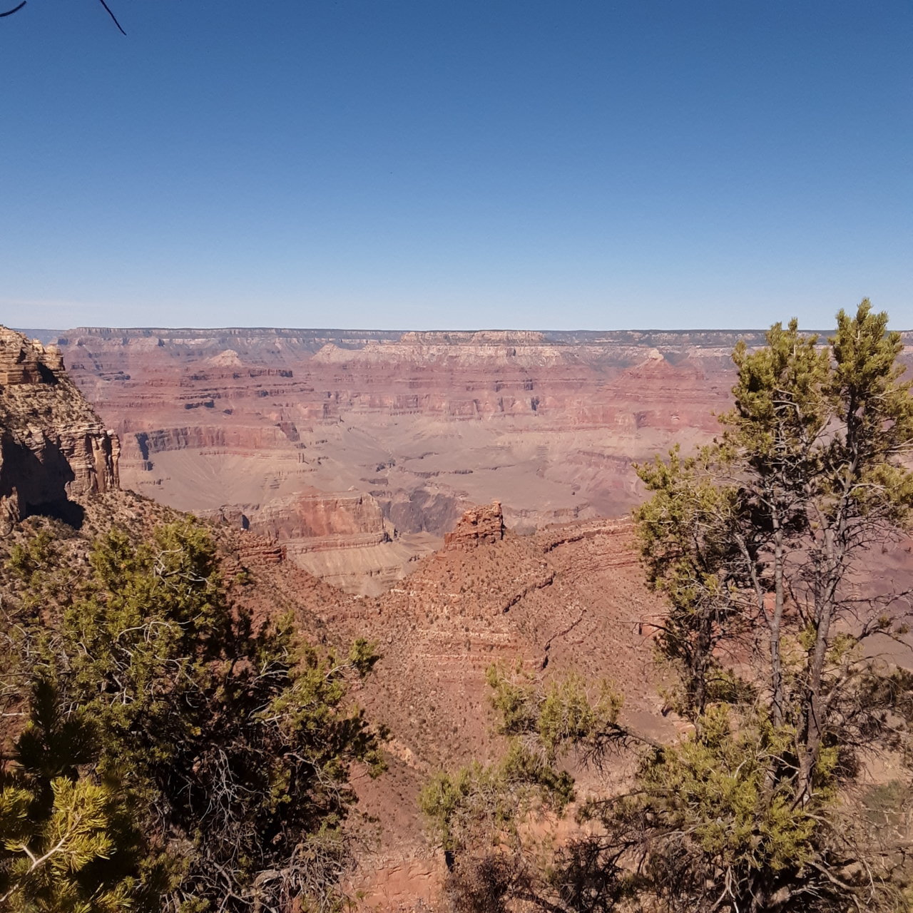 20201019_122954.jpg