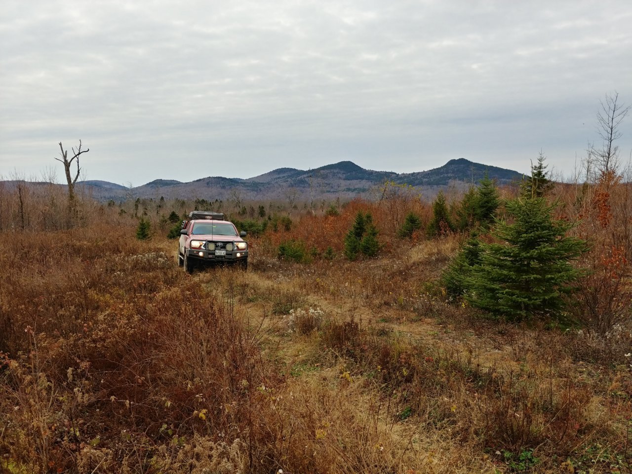 20201019_134126_HDR.jpg