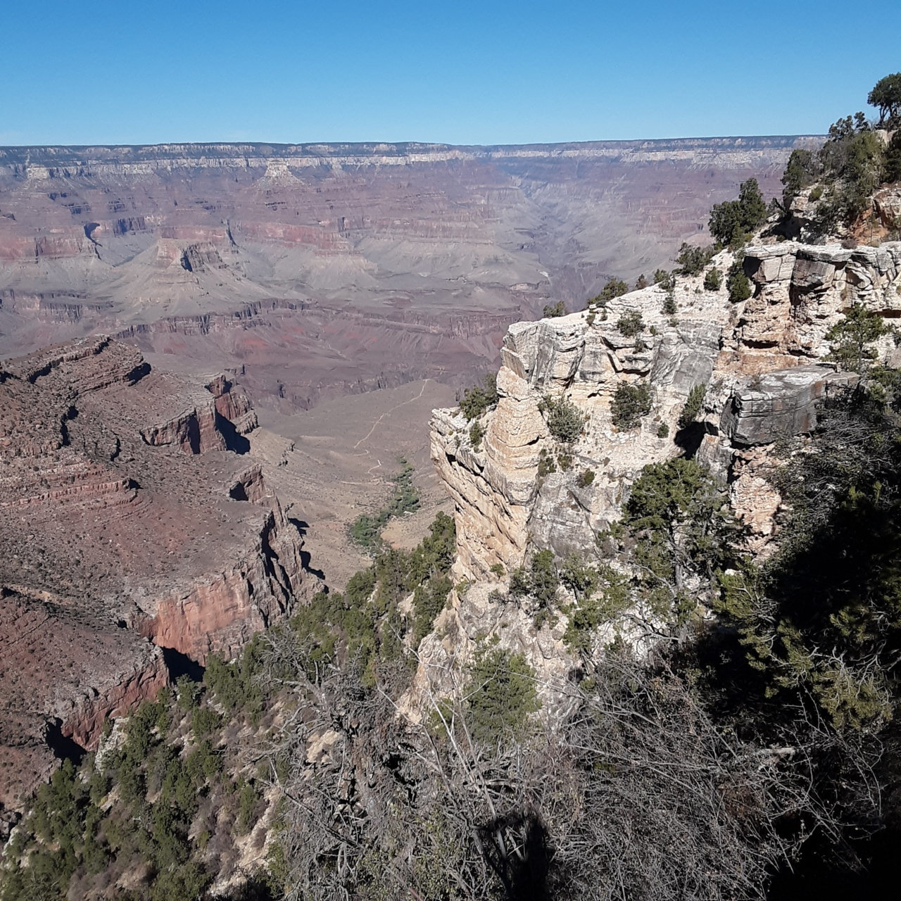 20201019_140037.jpg