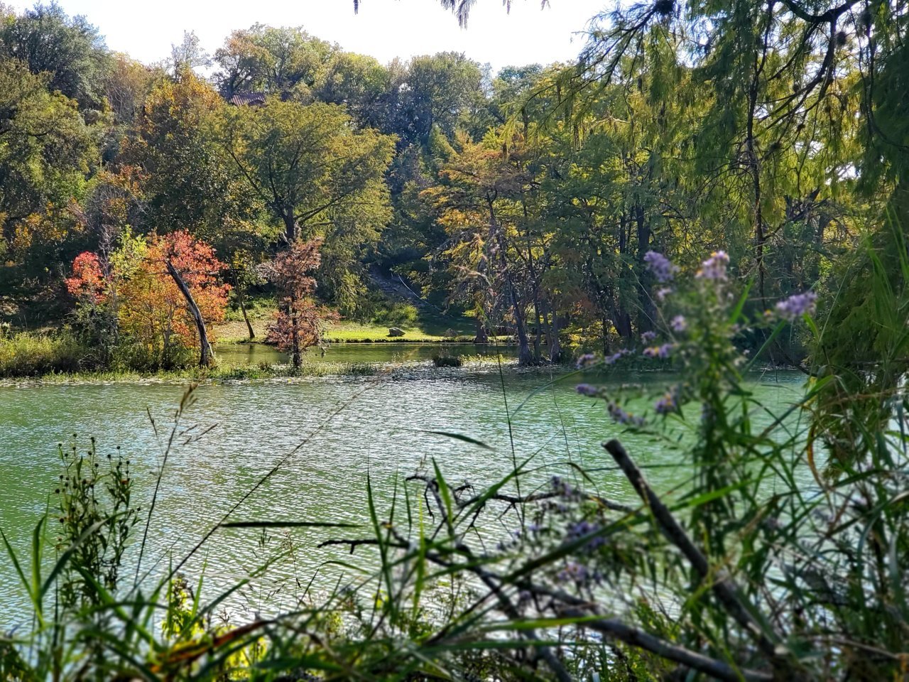 20201019_201833.jpg