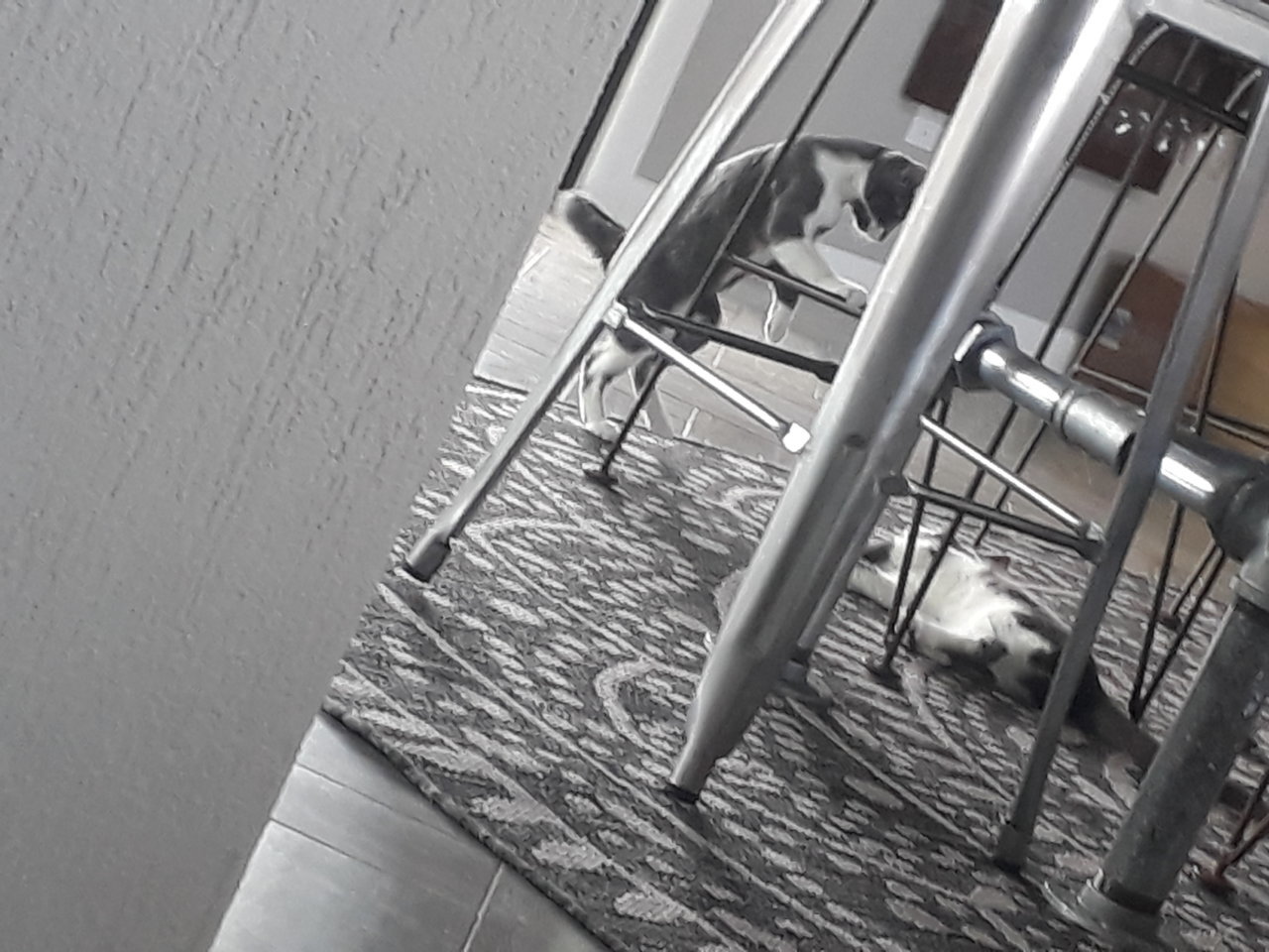 20201020_131501.jpg