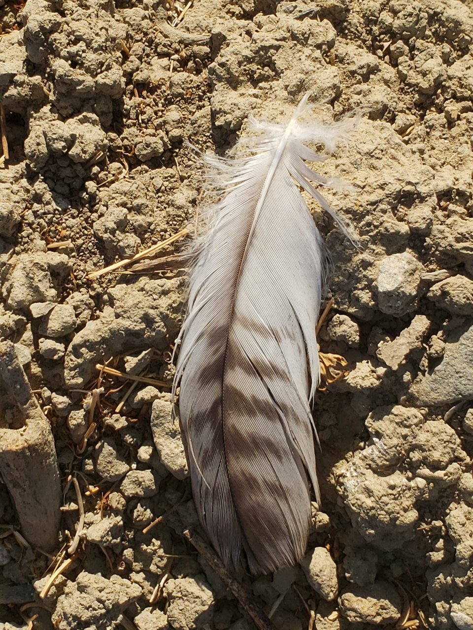 20201021_084704.jpg