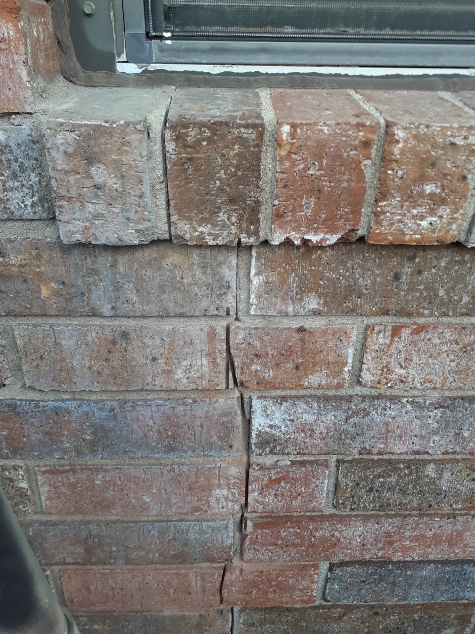 20201021_154319.jpg
