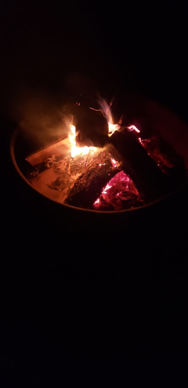 20201023_195356.jpg