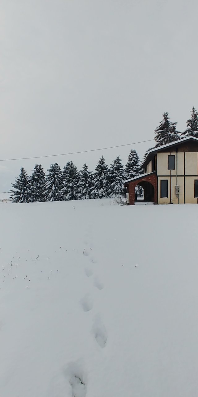 20201024_100501.jpg