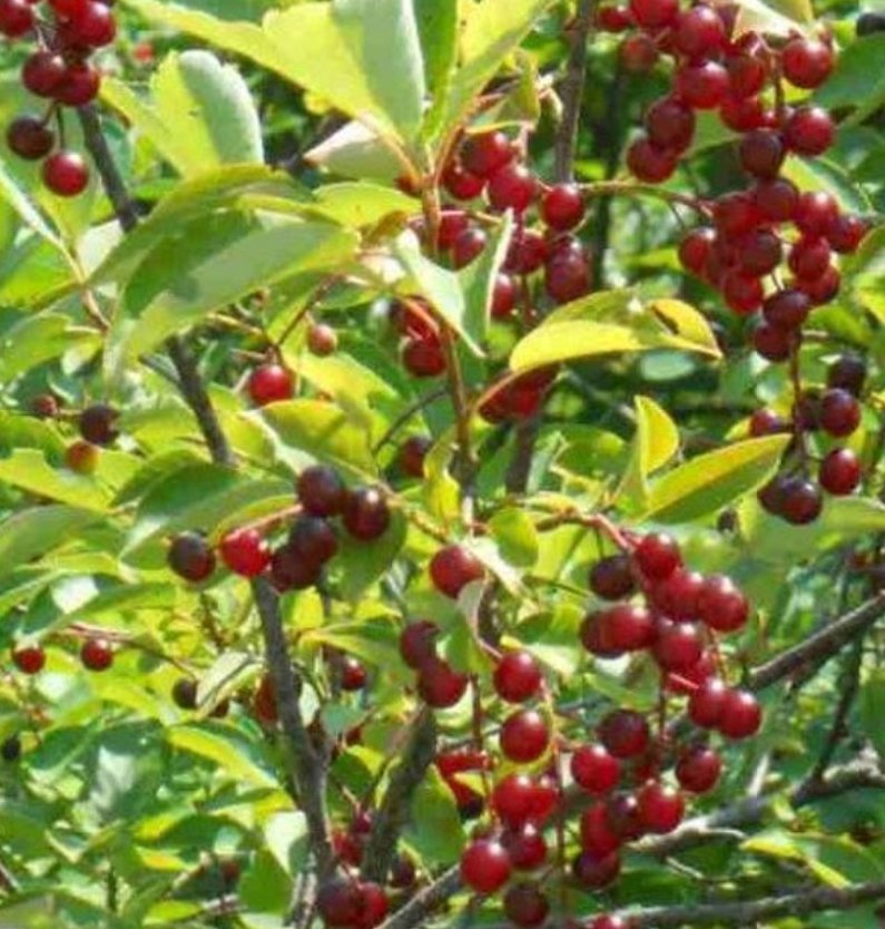 20201024_223034.jpg