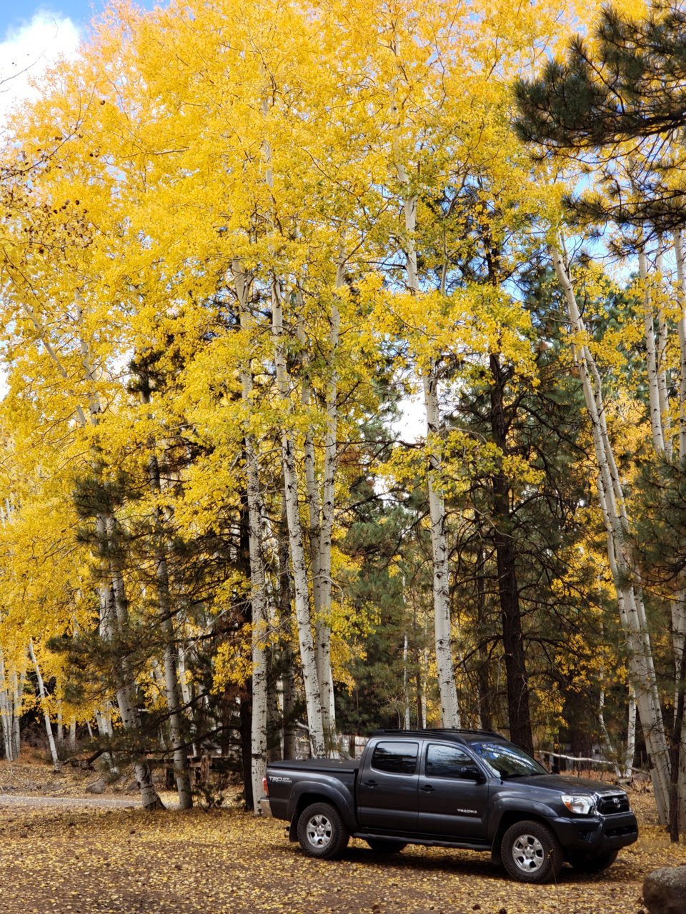 20201025_111014.jpg