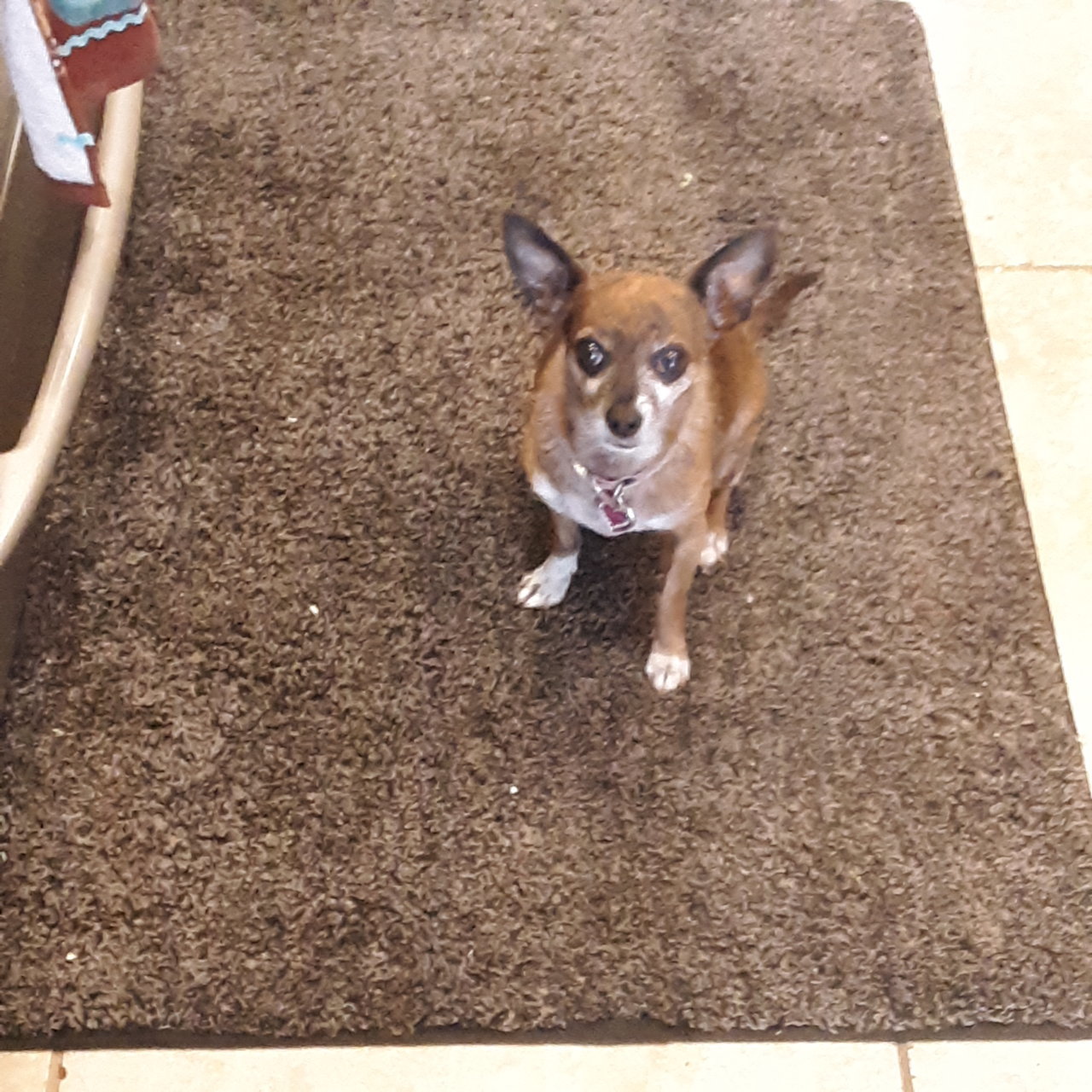20201025_135507.jpg