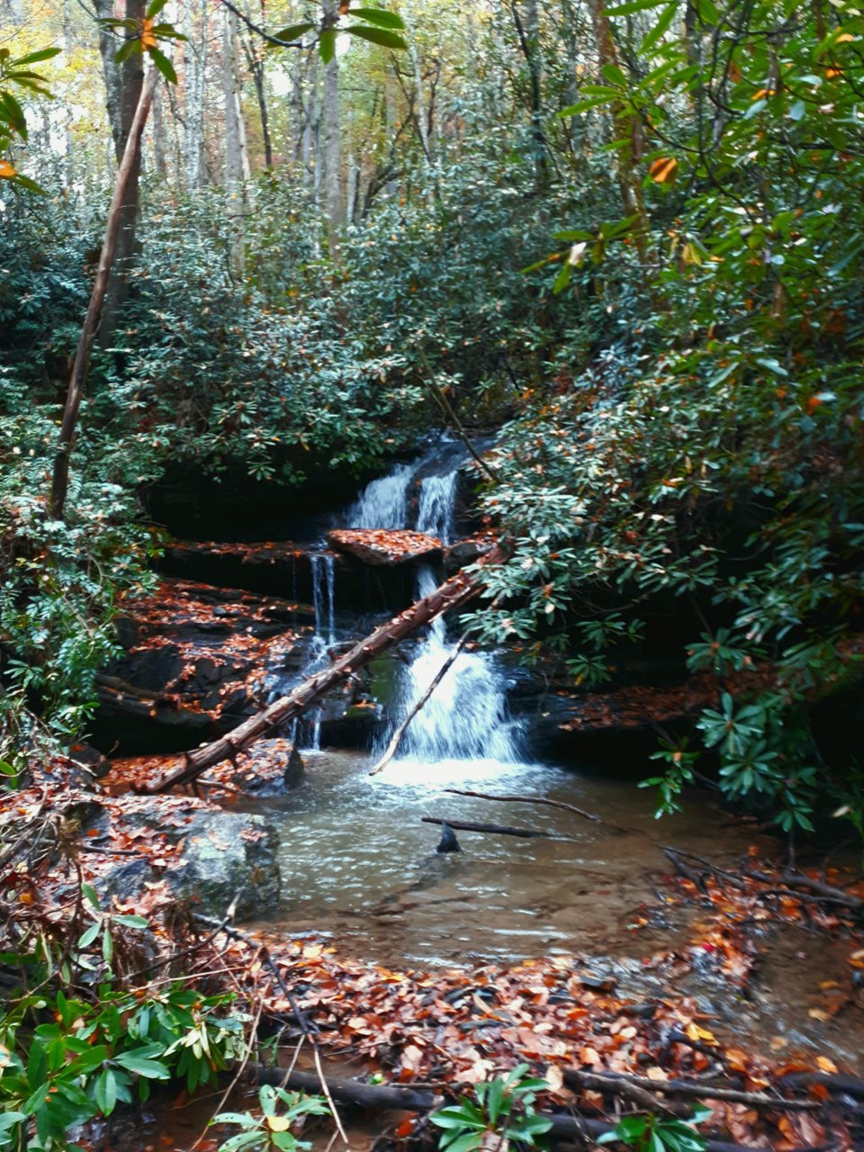 20201026_195003.jpg