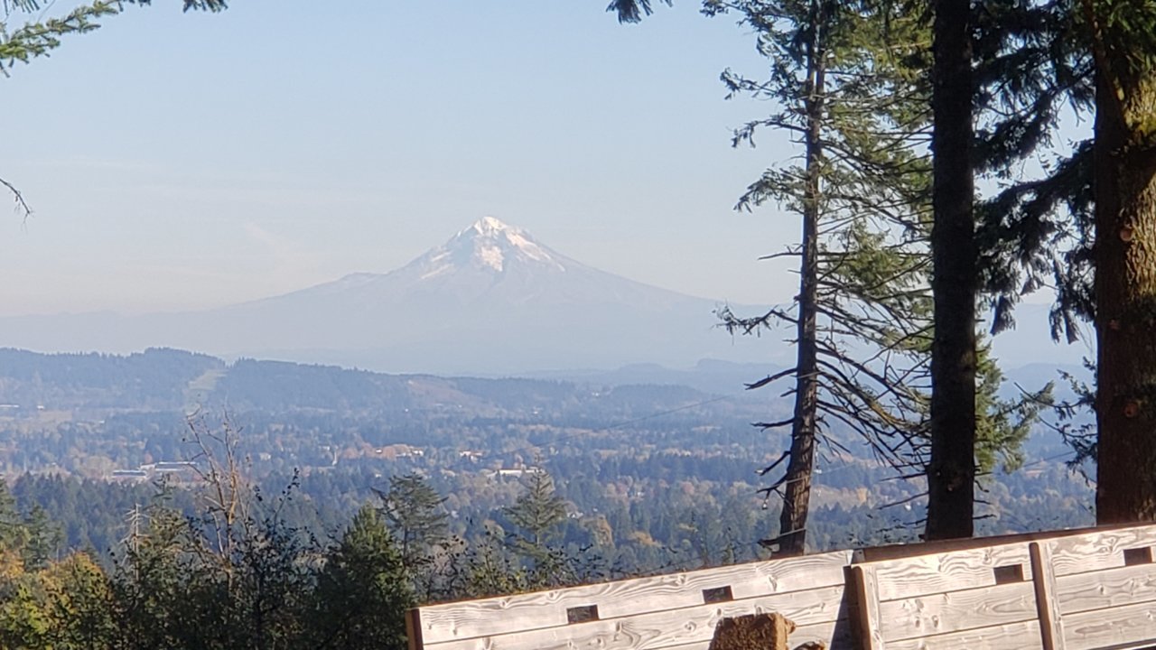 20201027_133553.jpg