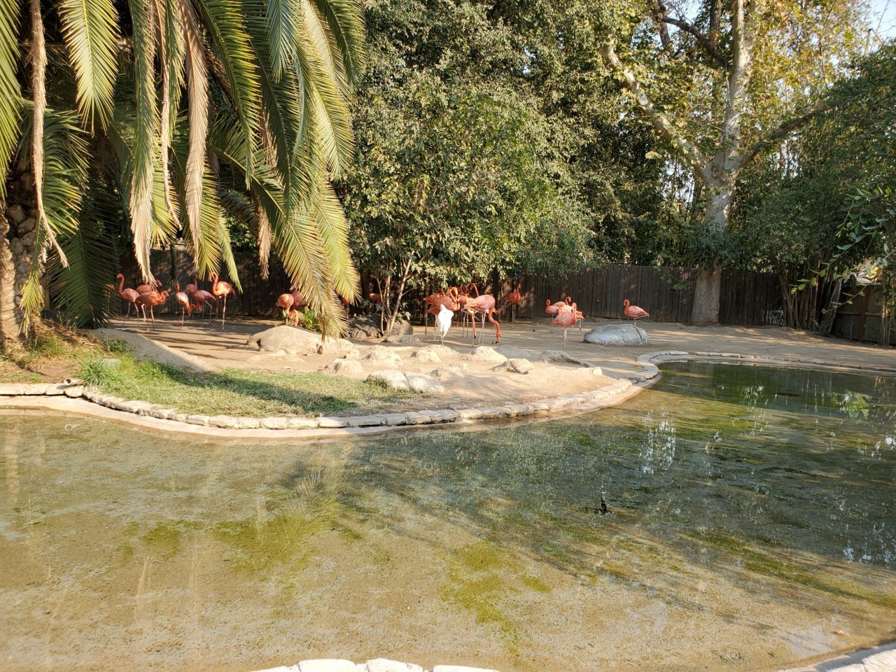 20201027_151323.jpg