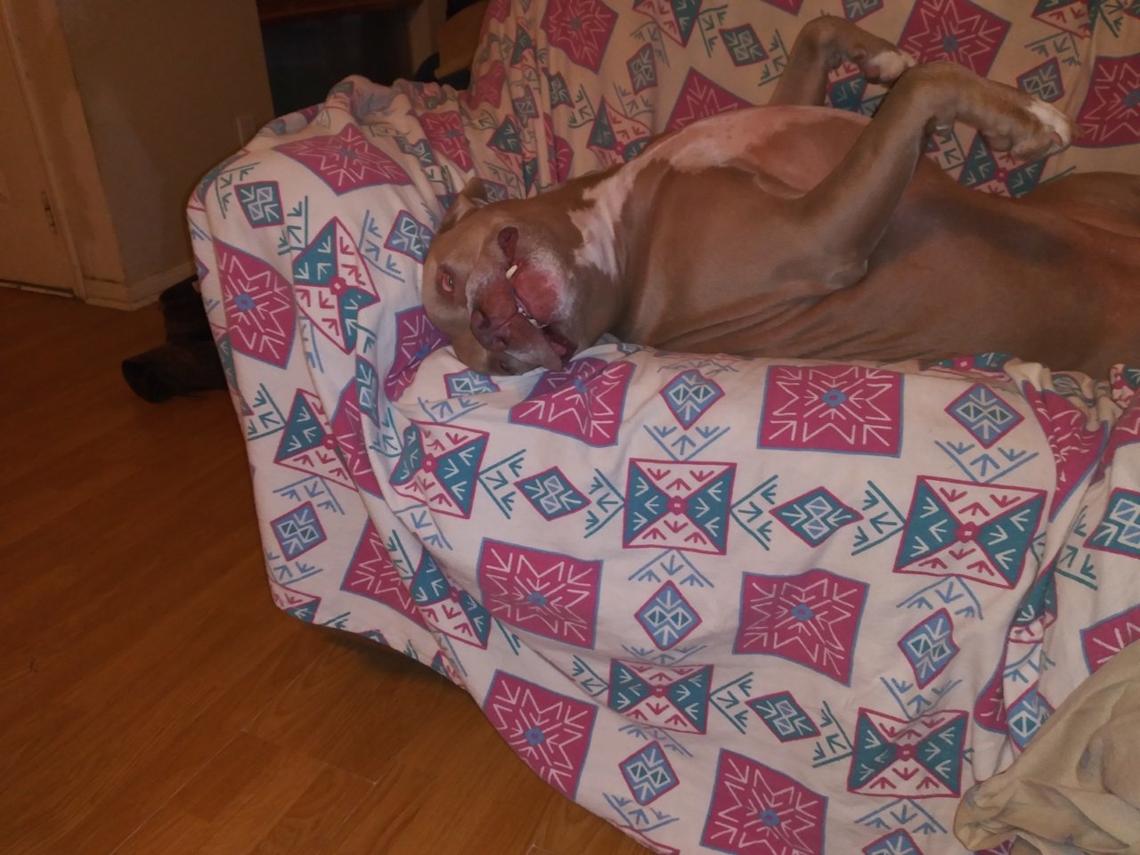 20201027_184023.jpg